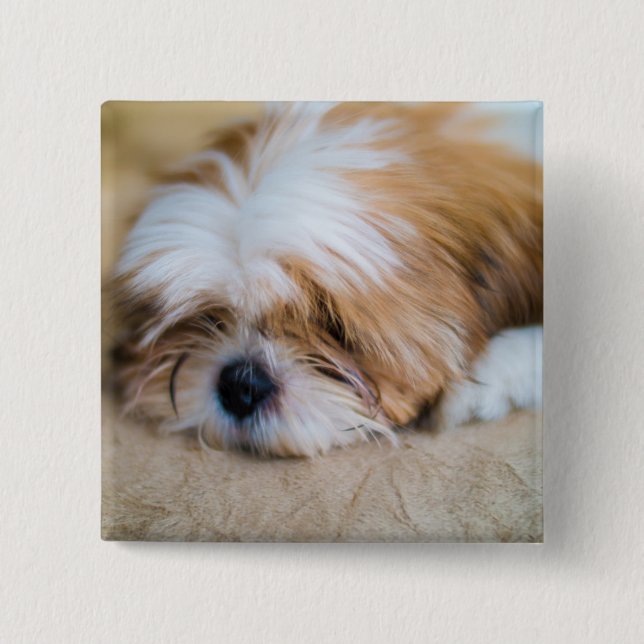 Shih Tzu Button (Front)