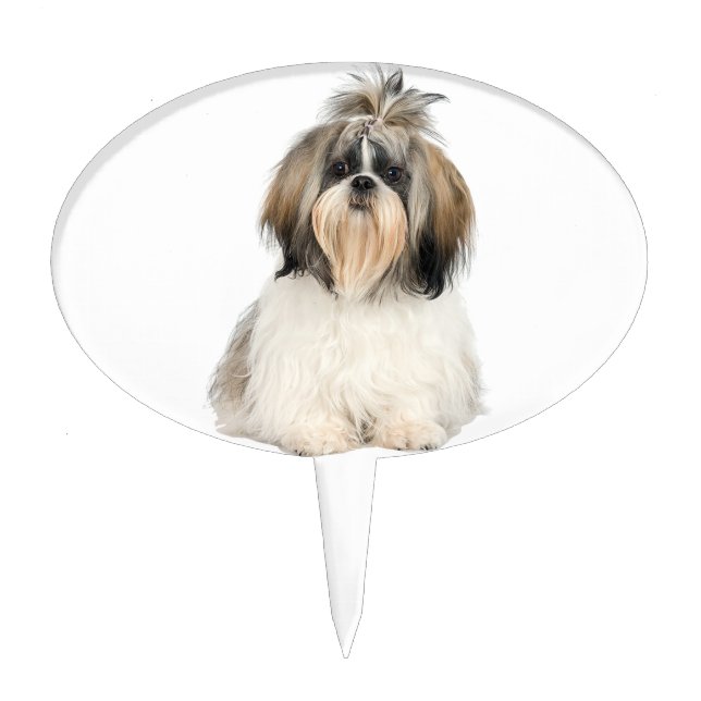 Shih Tzu Cake Topper (Front)