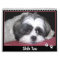 Shih Tzu Calendar