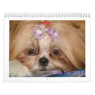 Shih Tzu Calendar