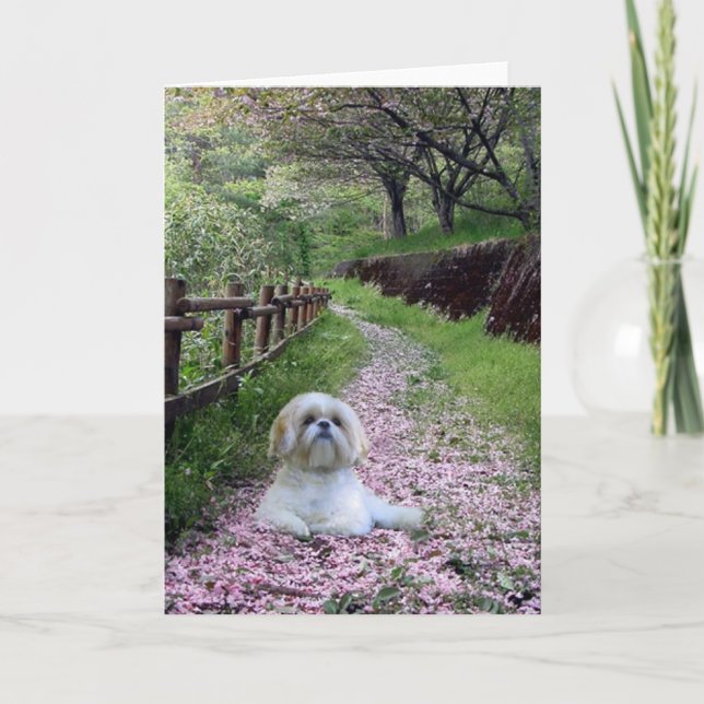 Shih Tzu Card Purple Flowers (Front)