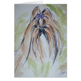Shih Tzu Cards