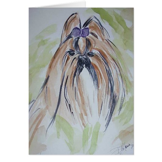 Shih Tzu Cards (Front)
