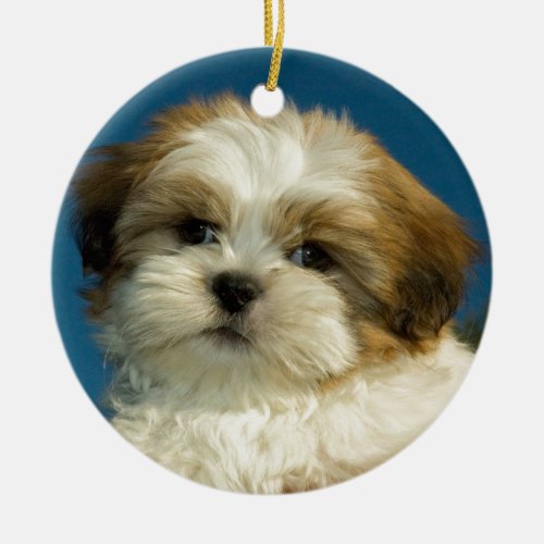 Shih Tzu Ceramic Ornament