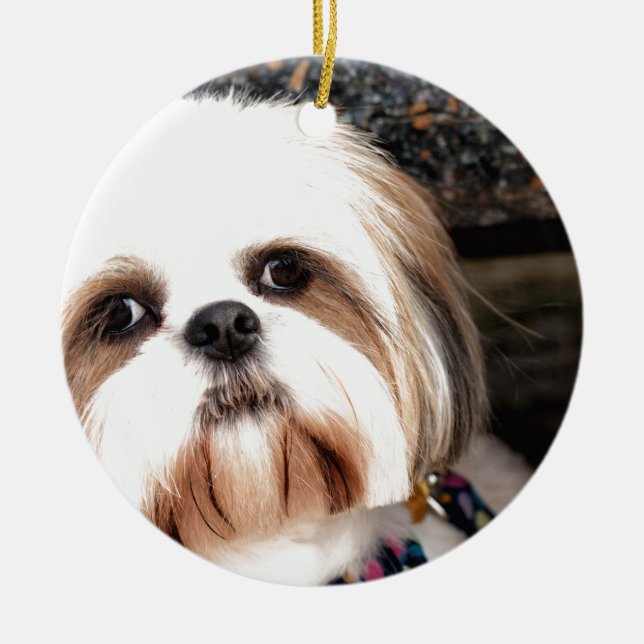 Shih Tzu Ceramic Ornament (Front)