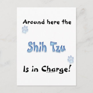 Shih Tzu Charge Postcard
