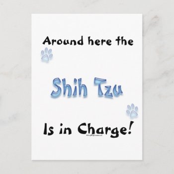 Shih Tzu Charge Postcard by GreyWolfCreation at Zazzle