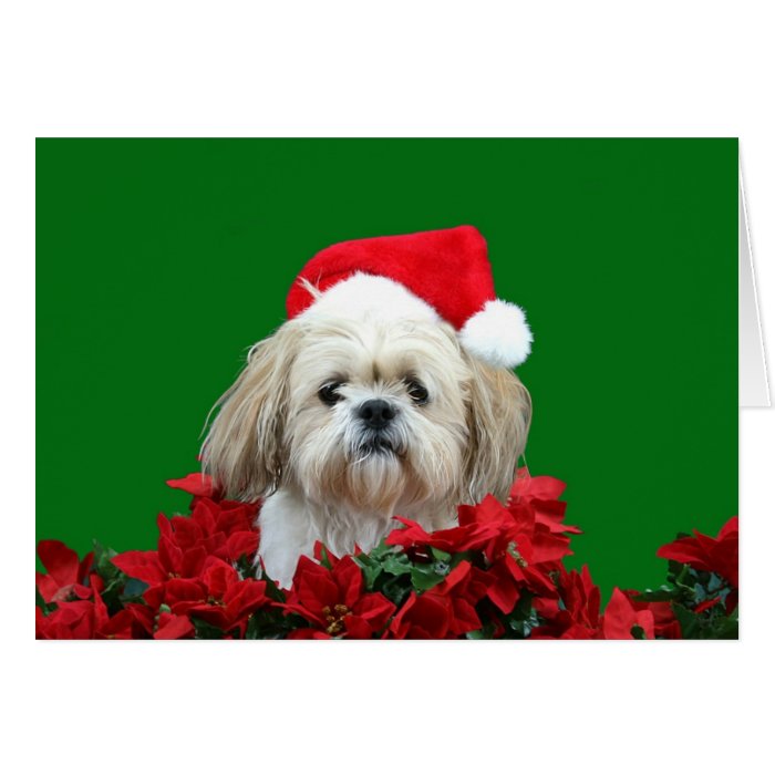 shih tzu christmas pillow