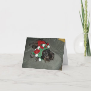 Shih Tzu Christmas Card