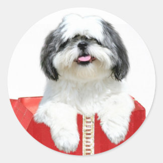 Shih Tzu Christmas gift Classic Round Sticker