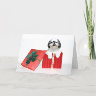 Shih Tzu Christmas gift Holiday Card
