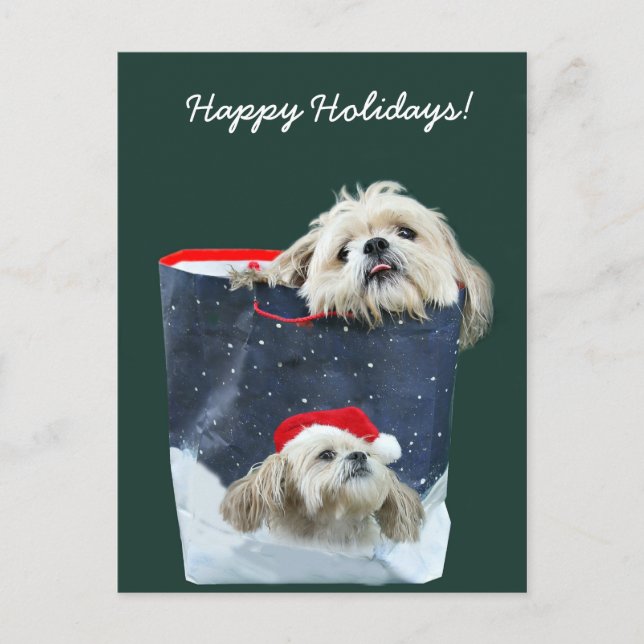 Shih Tzu Christmas gift Holiday Postcard (Front)