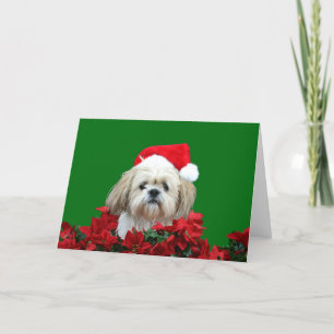 Shih Tzu Christmas Holiday Card
