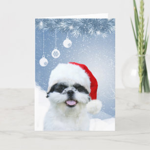 Shih Tzu Christmas Holiday Card