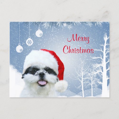 Shih Tzu Christmas Holiday Postcard