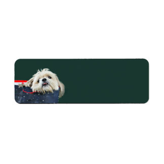 Shih Tzu Christmas Label