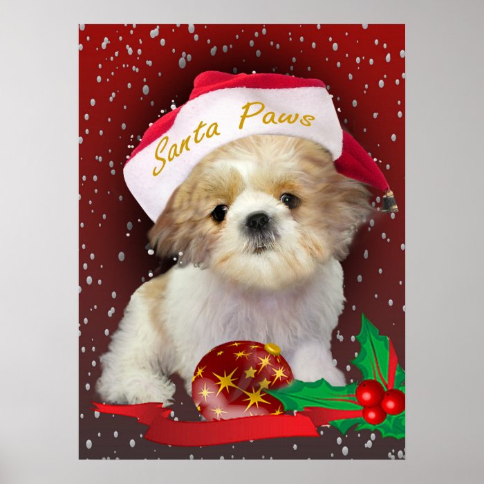 Holiday print, a Christmas design, displays the Shih Tzu puppy with