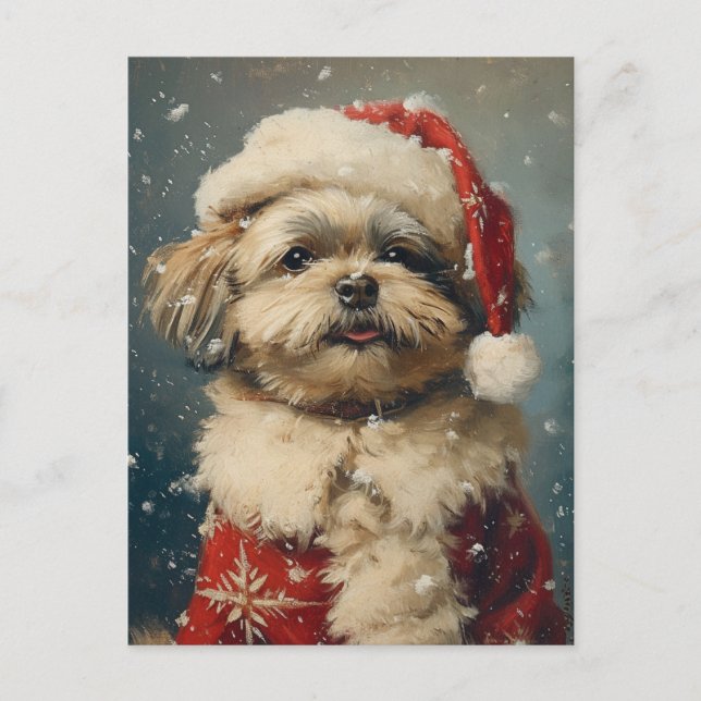 Shih Tzu Christmas  Postcard (Front)