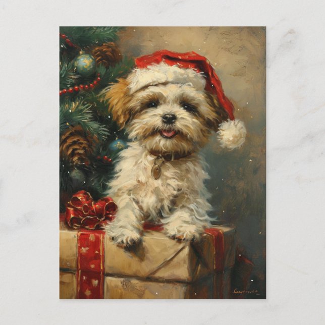 Shih Tzu Christmas Postcard (Front)