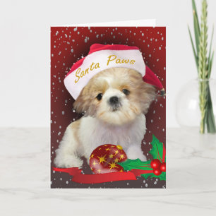Shih Tzu Christmas Santa Paws Card
