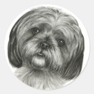 Shih Tzu Classic Round Sticker