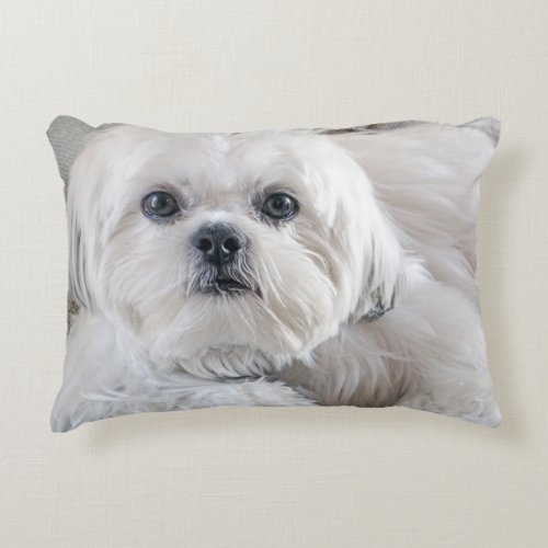 Shih Tzu Decorative Pillow