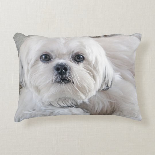 shih tzu christmas pillow