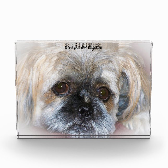 Shih Tzu Dog Acrylic Award (Front)
