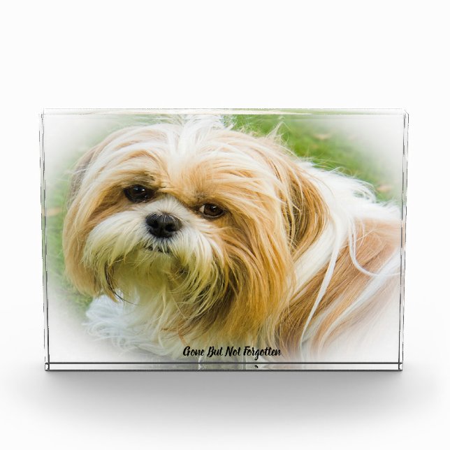 Shih Tzu Dog Acrylic Award (Front)