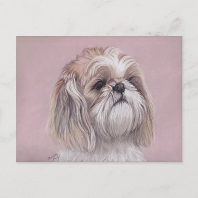 Shih tzu Dog Art Postcard (Front)
