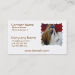 Shih Tzu Dog Business Cards