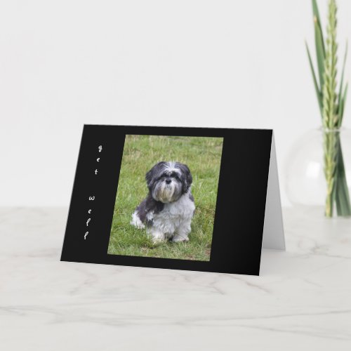 Shih Tzu dog Card