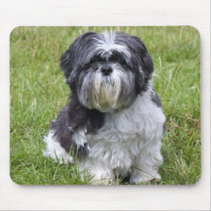 Shih Tzu dog cute beautiful photo mousepad