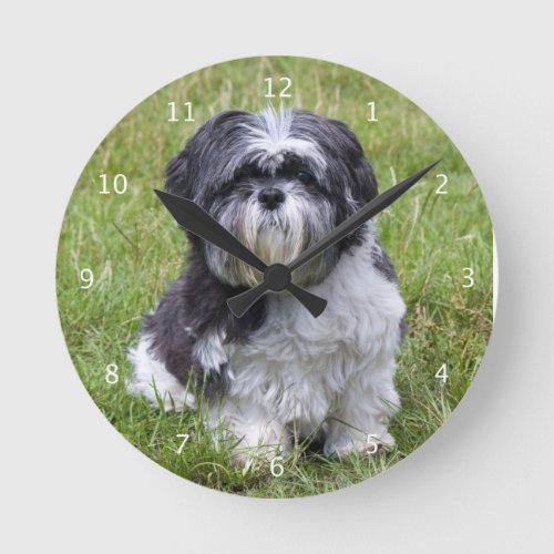 Shih Tzu dog cute beautiful photo Round Clock