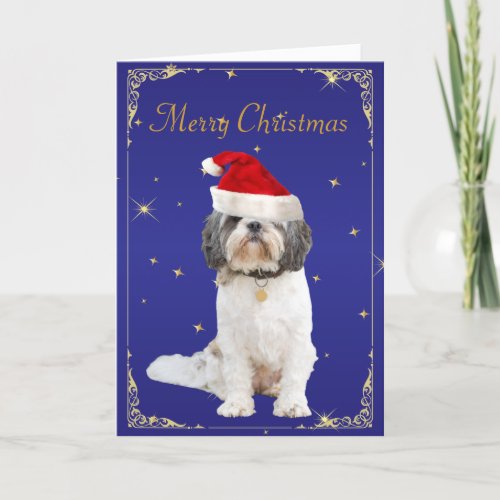 Shih Tzu dog cute hat christmas card