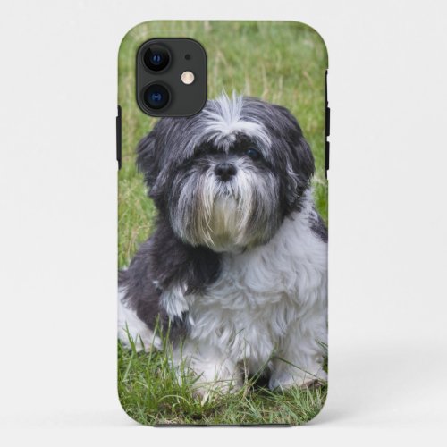 Shih Tzu dog cute photo iphone 5 case mate id