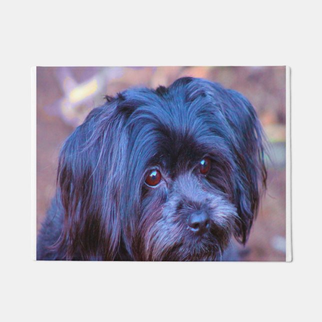 Shih Tzu Dog. Doormat (Front)