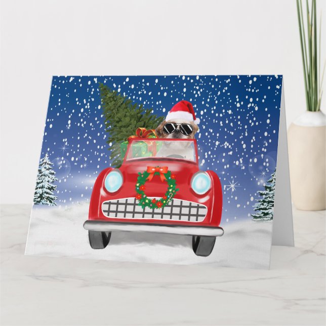 Shih Tzu Dog Driving Car In Snow Christmas  Card (Front)
