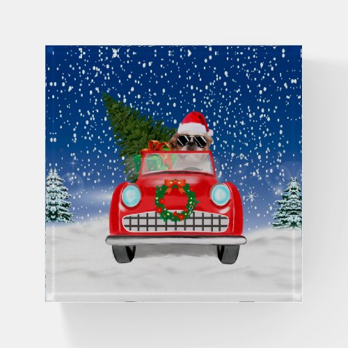 Shih Tzu Dog Driving Car In Snow Christmas  Paperweight