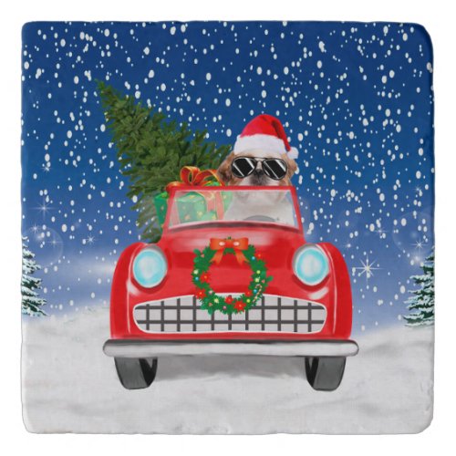 Shih Tzu Dog Driving Car In Snow Christmas  Trivet