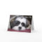 Shih Tzu Dog Father's Day