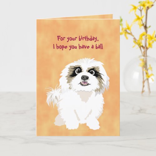 Shih Tzu Dog Funny Birthday for Dog Owner Lover Card