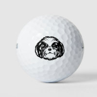Shih Tzu Dog