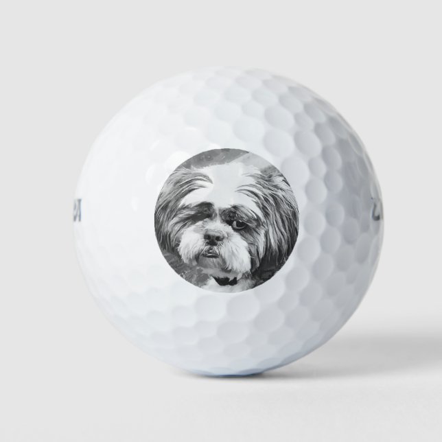 SHIH TZU DOG   GOLF BALLS (Front)