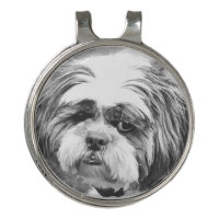 SHIH TZU DOG