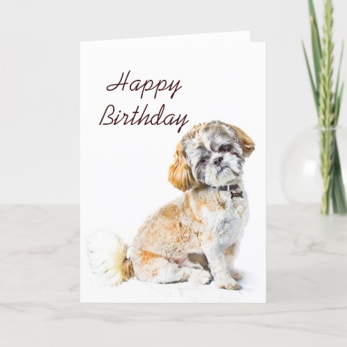 Shih Tzu Dog Happy Birthday Card