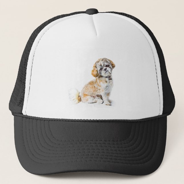 Shih Tzu Dog Hat (Front)