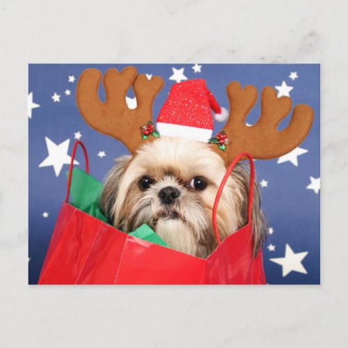 Shih Tzu dog in a red shopping bag Postcard