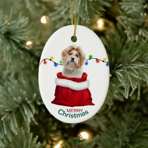 Shih Tzu Dog in Holiday Gift Bag Ceramic Ornament