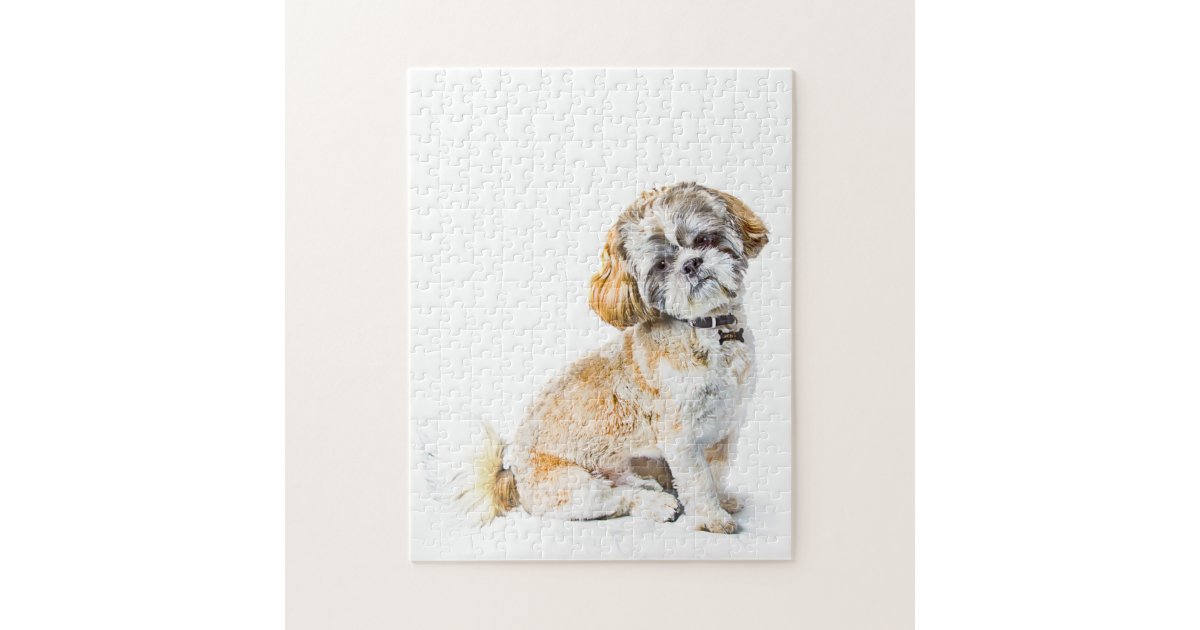 Shih Tzu Dog Jigsaw Puzzle | Zazzle